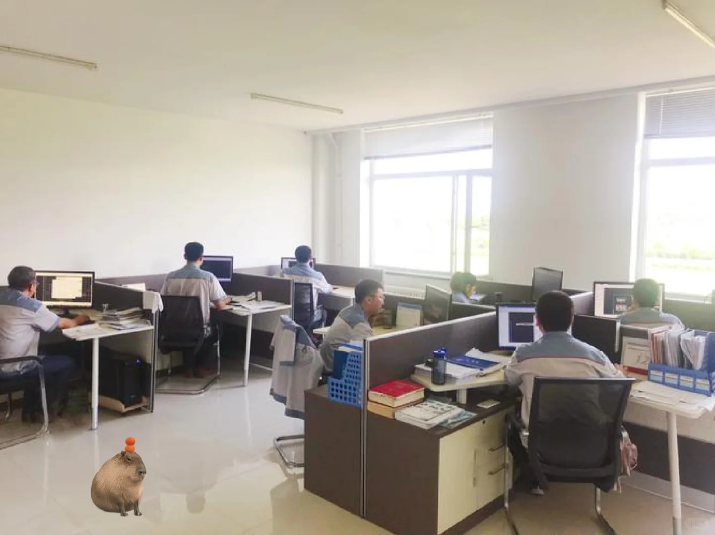 有人愿意来我们交投项目部做文员吗？