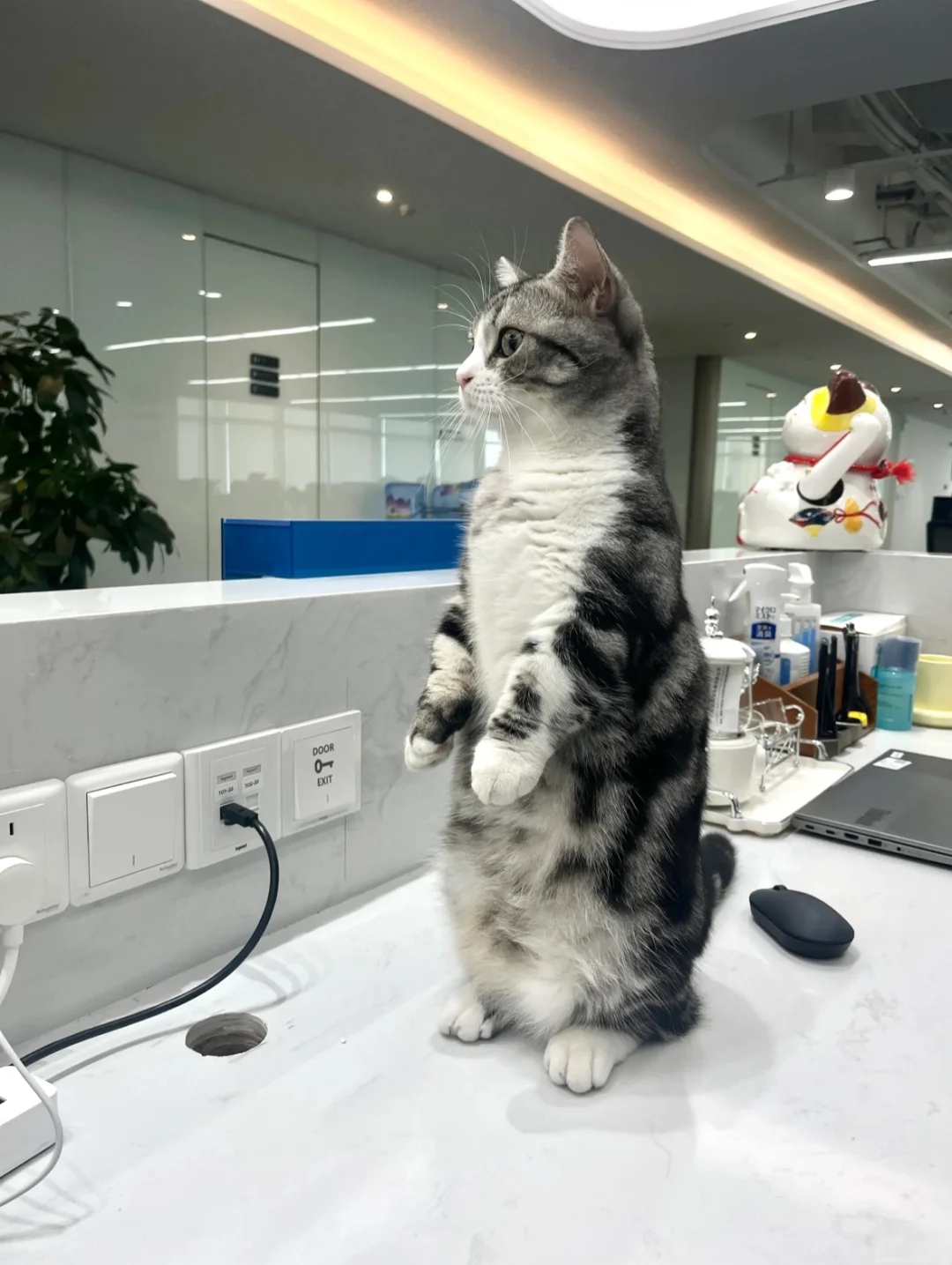 谁懂！入职武汉神仙双休公司工作日带薪团建