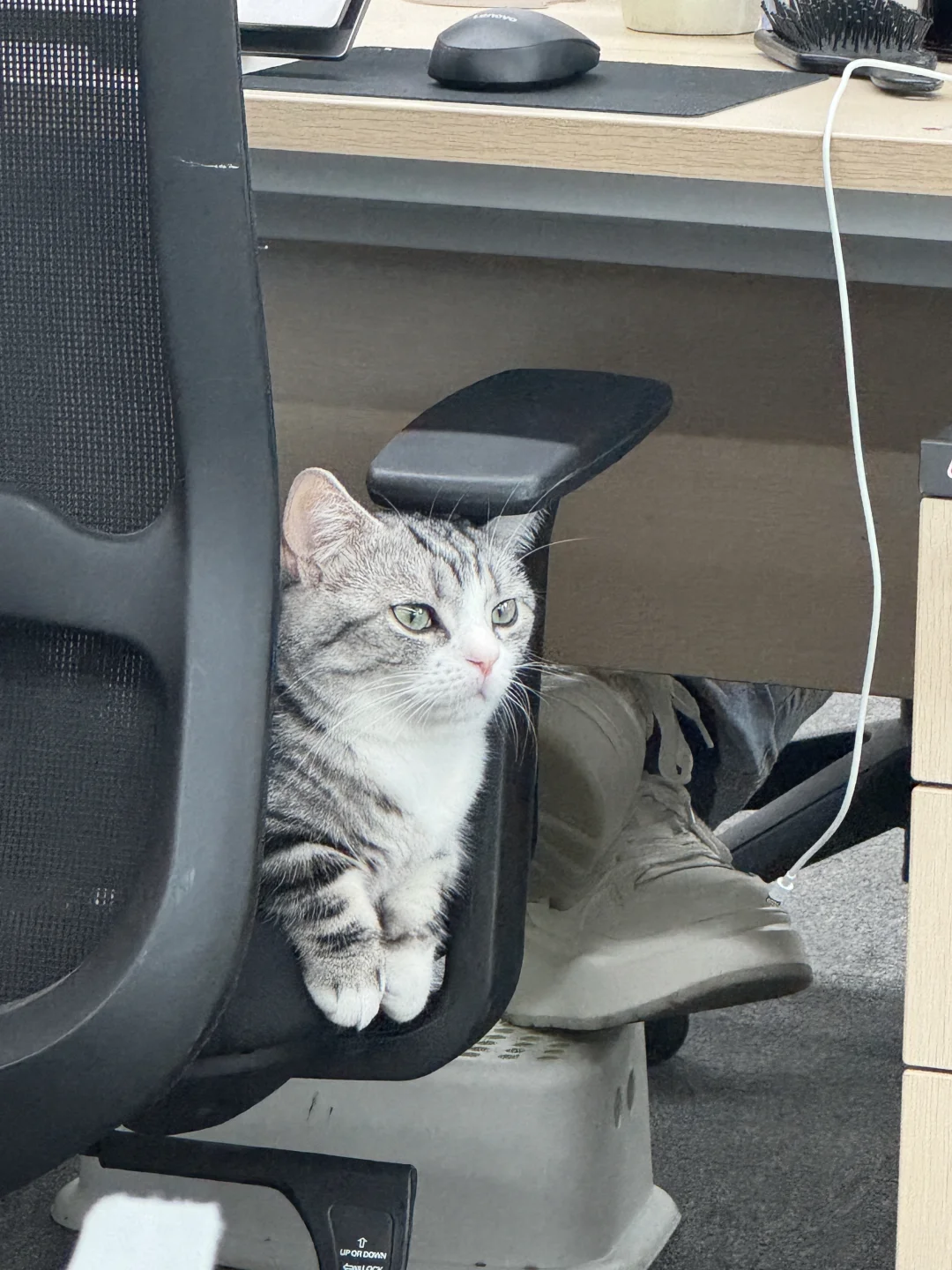 谁懂！入职武汉神仙双休公司工作日带薪团建