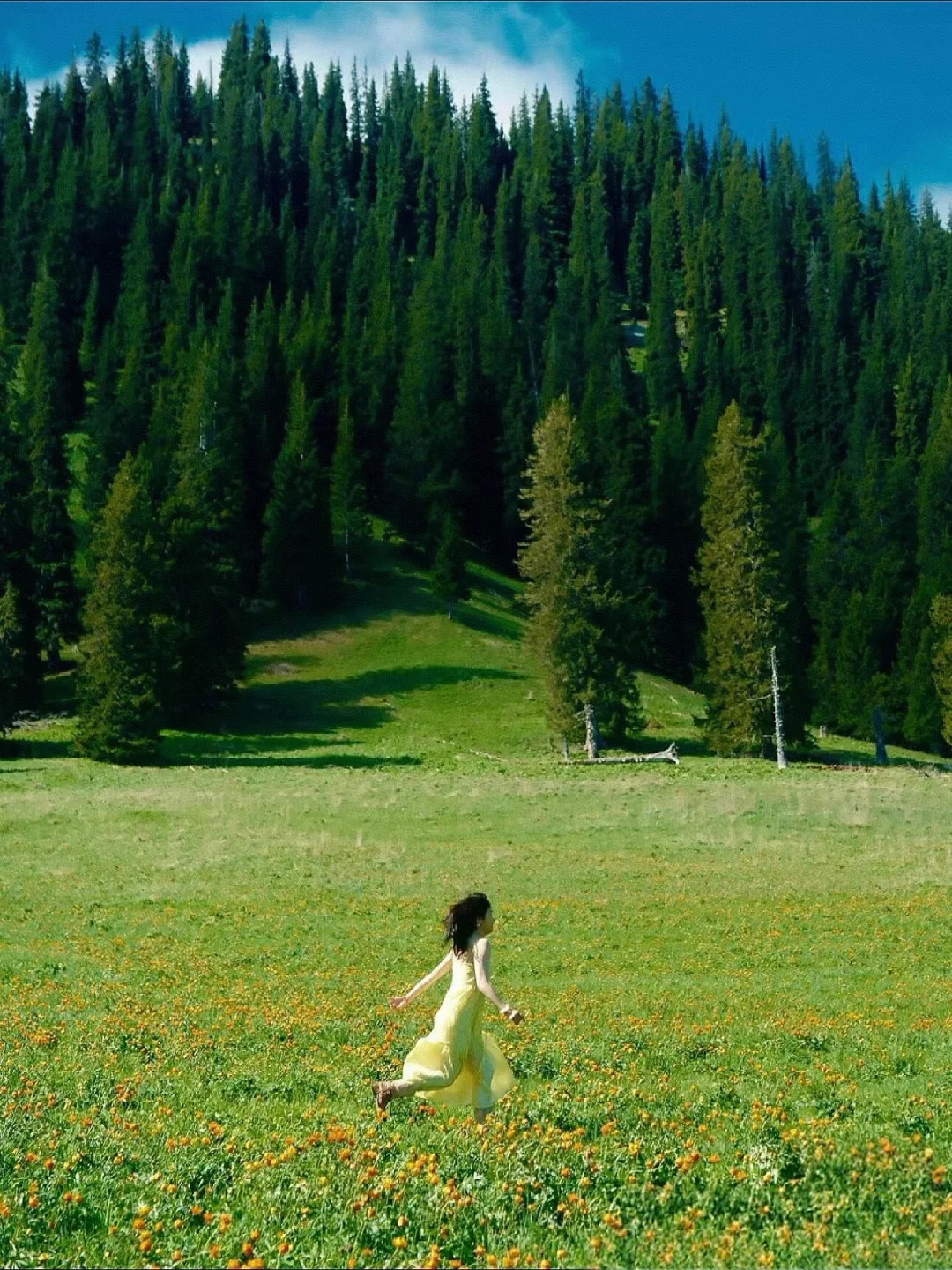 新疆喀纳斯民宿招聘