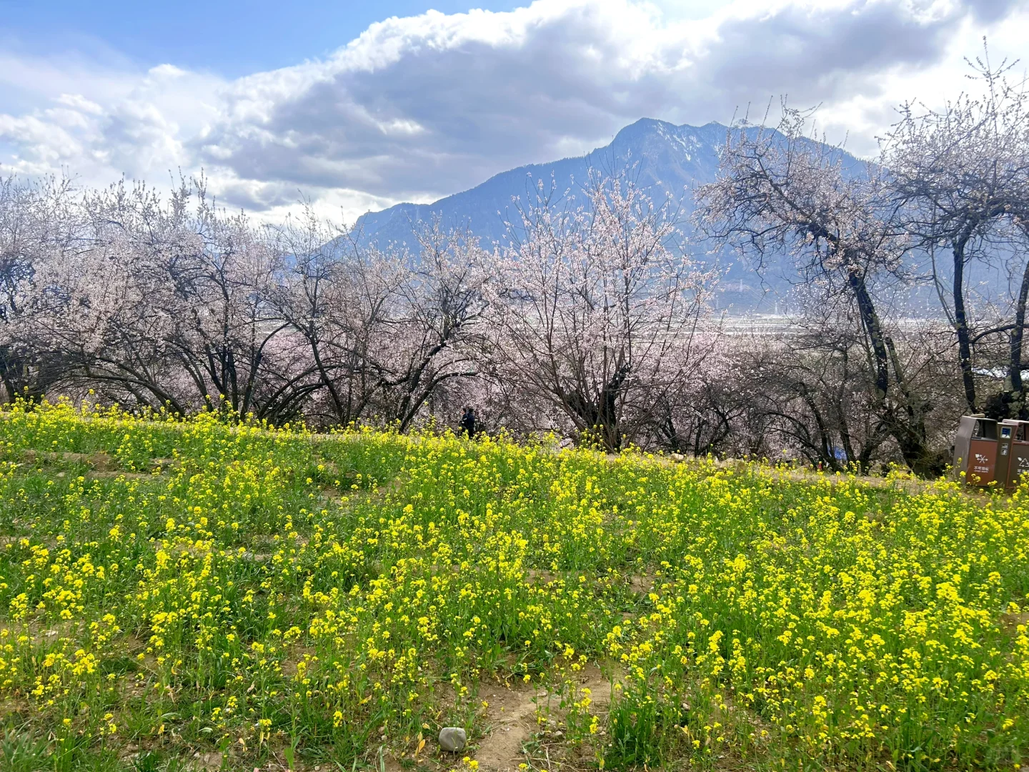 多地宣布发钱奖励结婚，年轻人为何不想结婚？