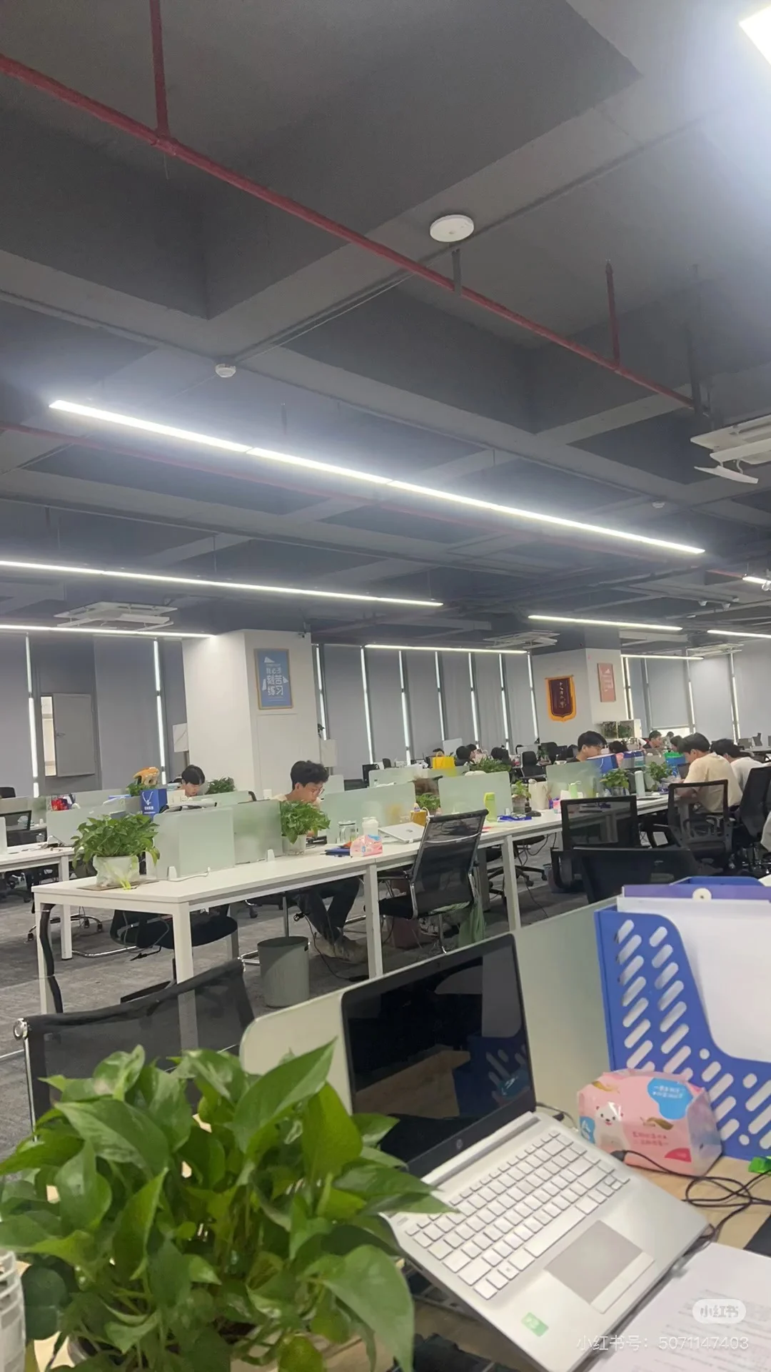 光明区招聘文员