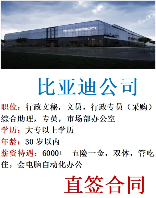 比亚迪公司捞人啦‼️