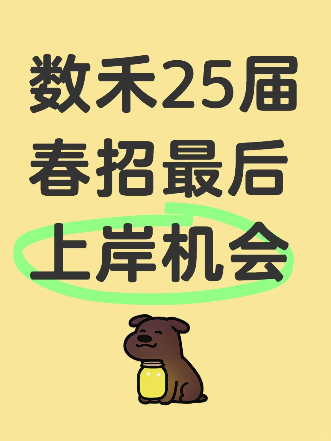 数禾科技25届春招最后上岸机会