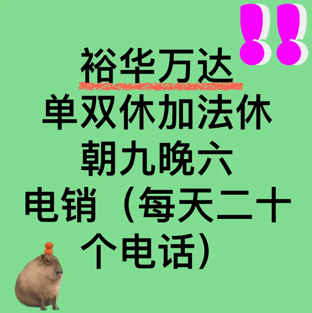 招聘招聘招聘！！！重要的事情说三遍！！