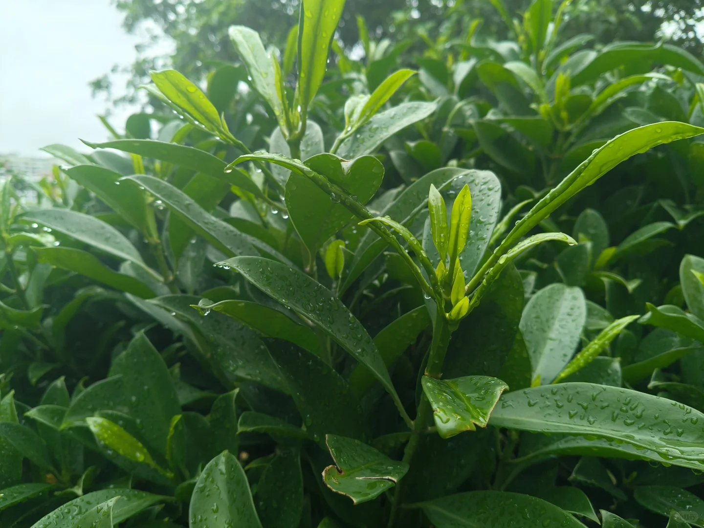 想不到吧！一个县有这么多处级干部！