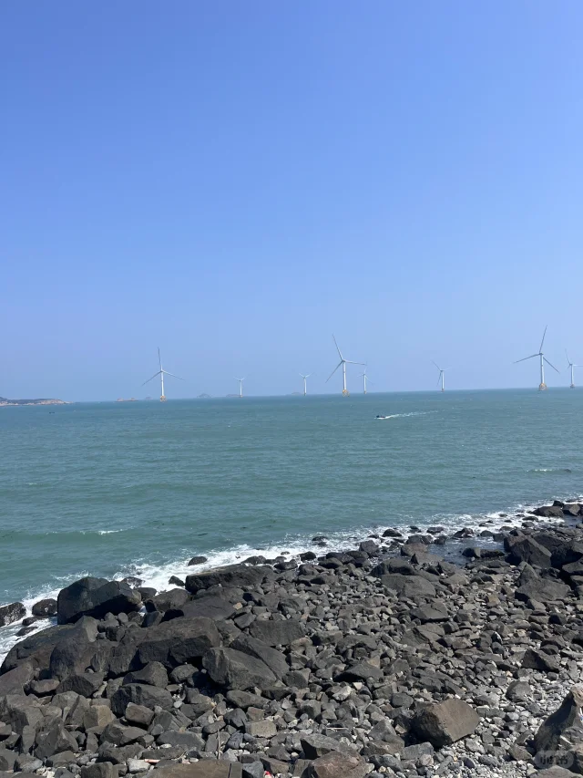 25应届生毕业不当打工人！当守岛人