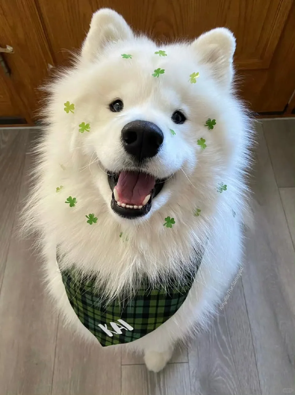 招聘邯郸日结小时工