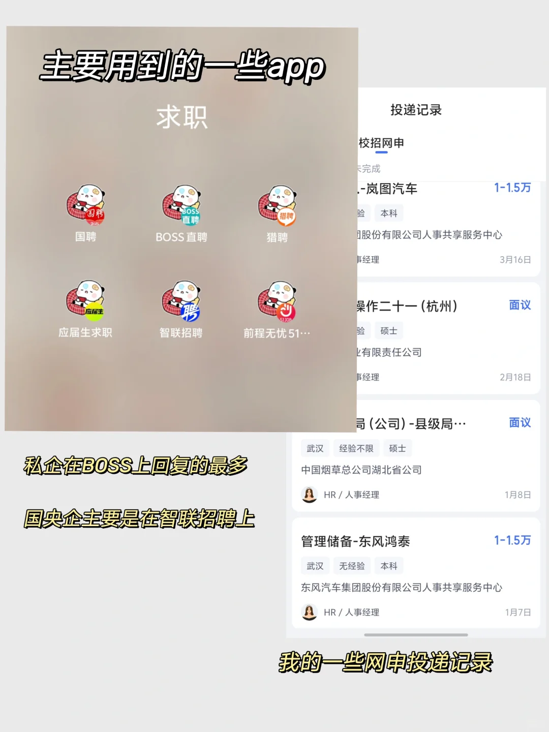 收藏❗️❗投递300+才悟出来的求职经验分享