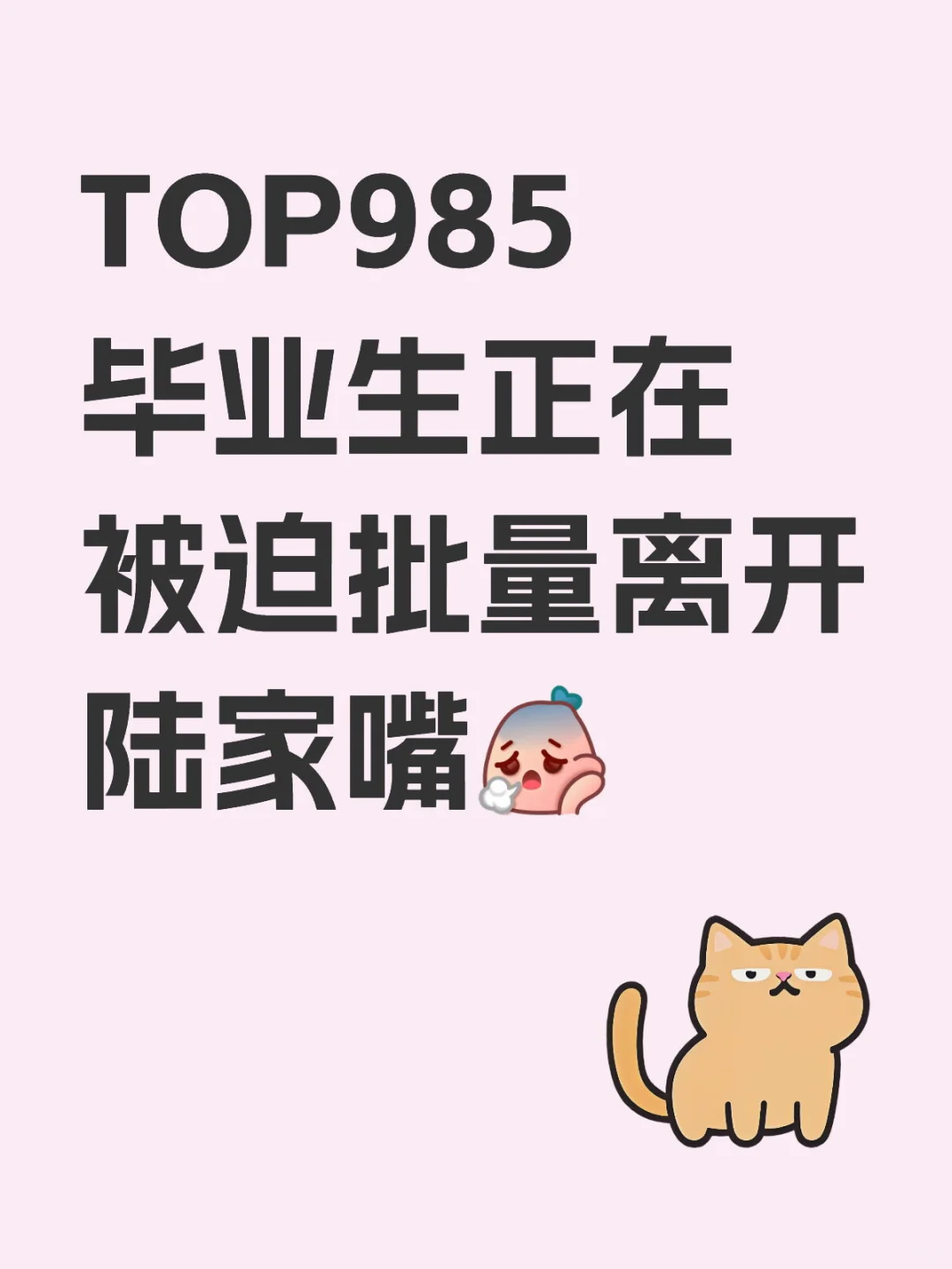 求职路漫漫，风水轮流转