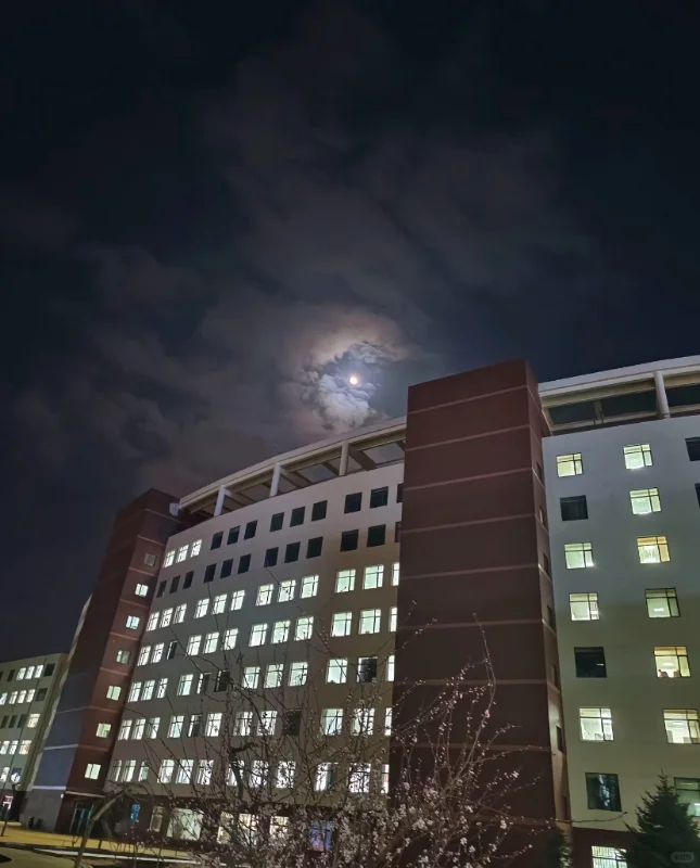 硕士进大专（仅内蒙古）双非硕0压力好选择