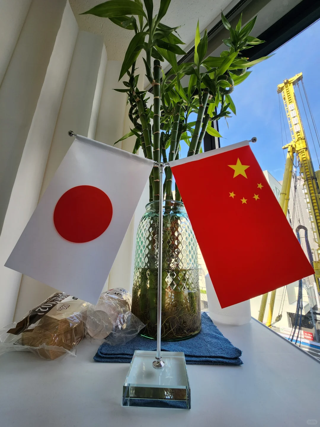 正规不动产会社聘社员🤑🤑🤑