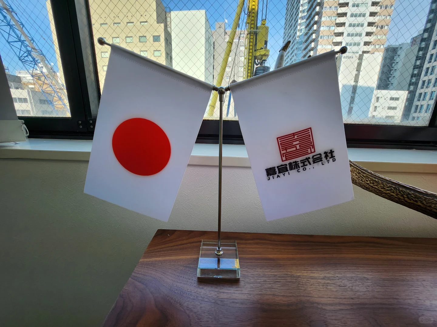 正规不动产会社聘社员🤑🤑🤑