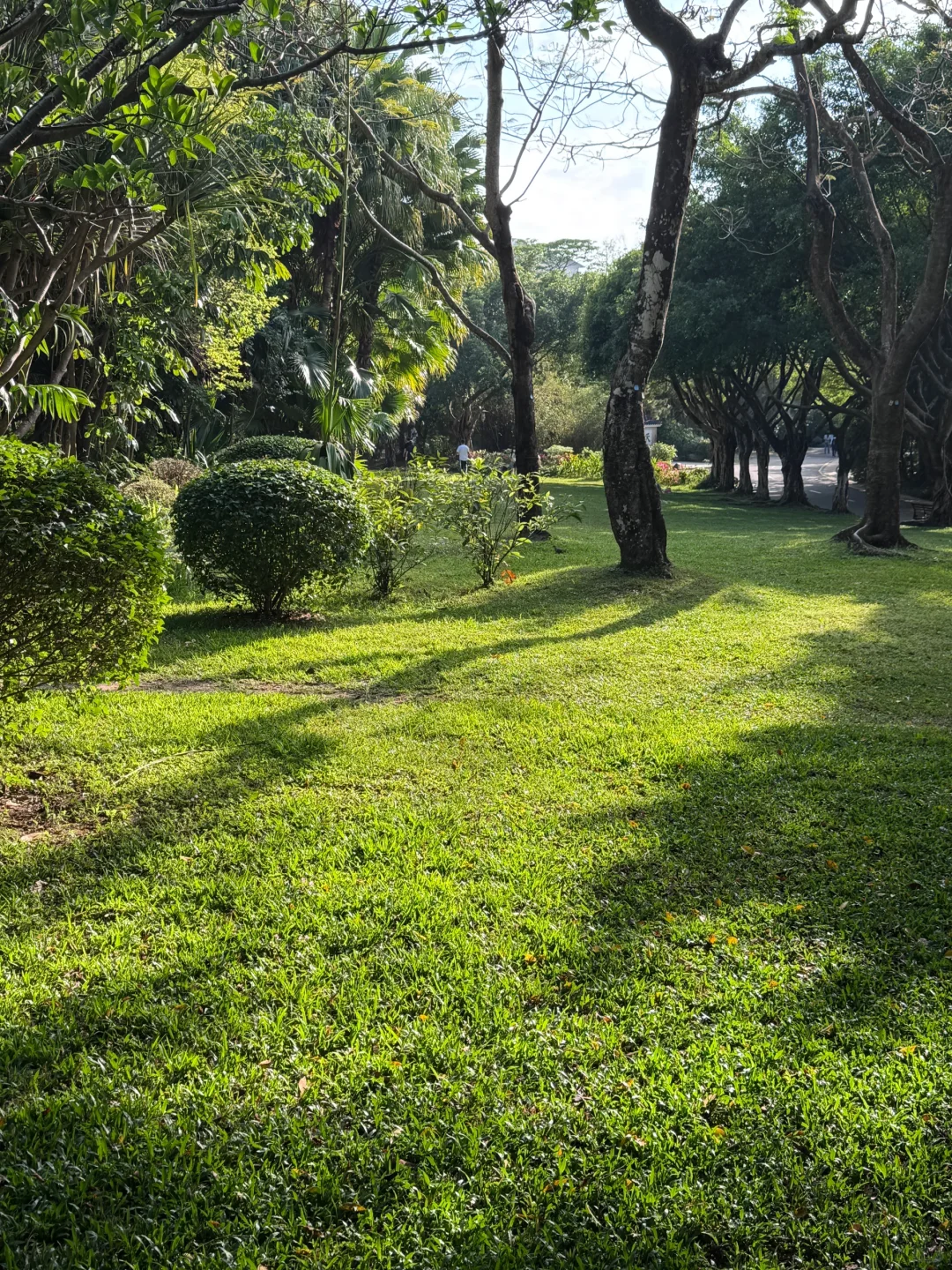 深大助理教授招聘