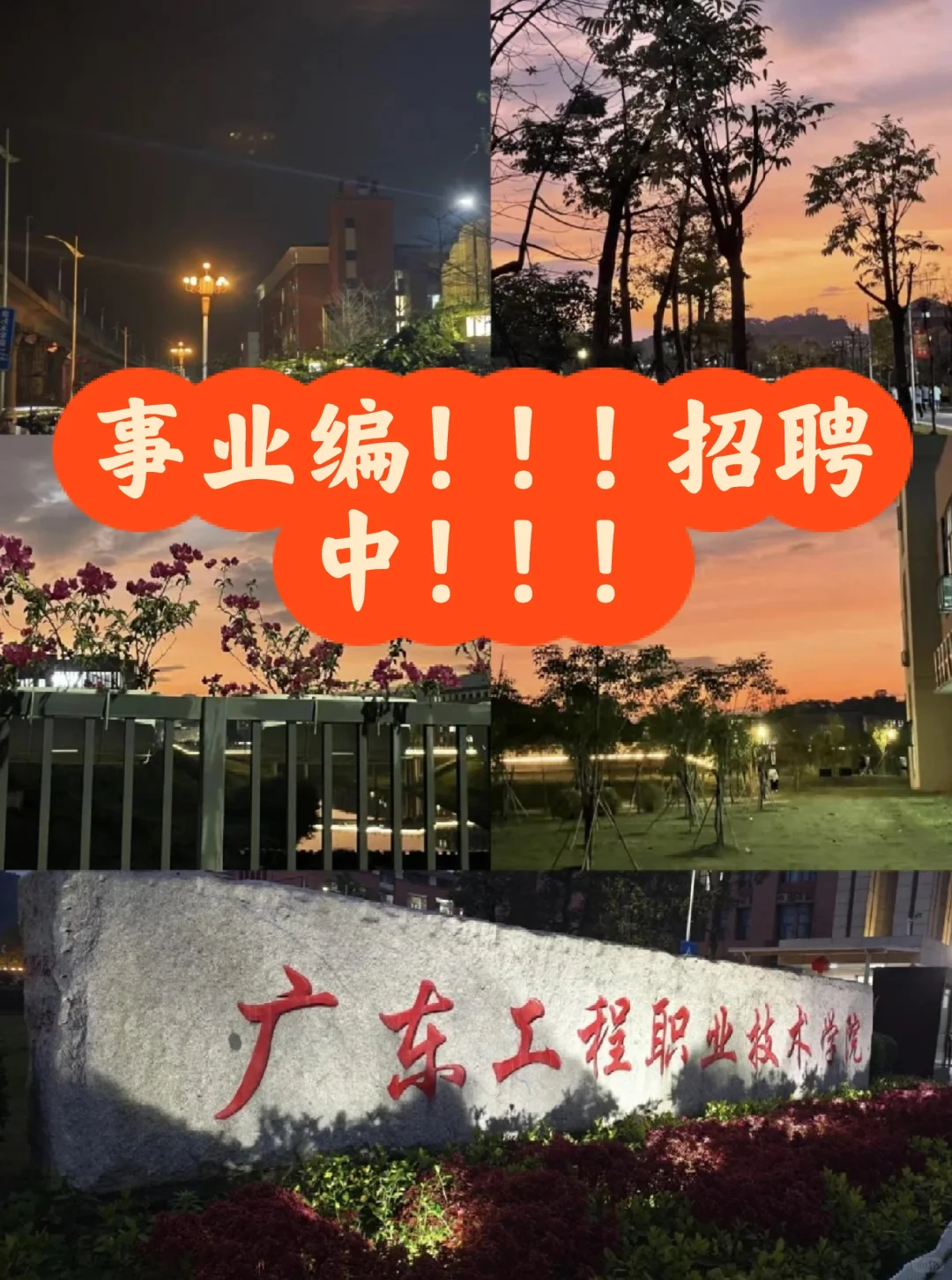新出编制！！！广东工程职业技术学院辅导员