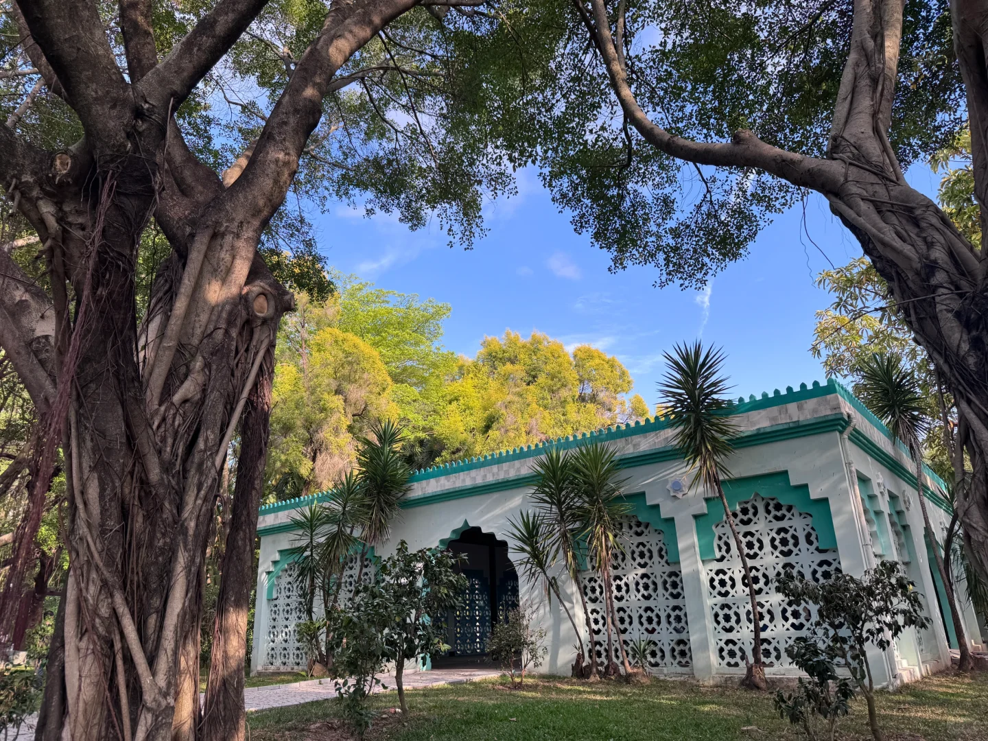 深大助理教授招聘