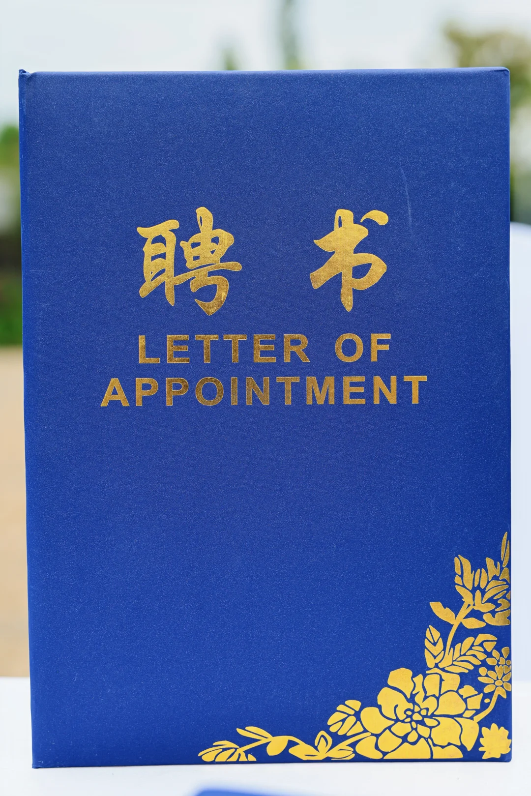 曾筝第二次被聘为昆明文旅监督员