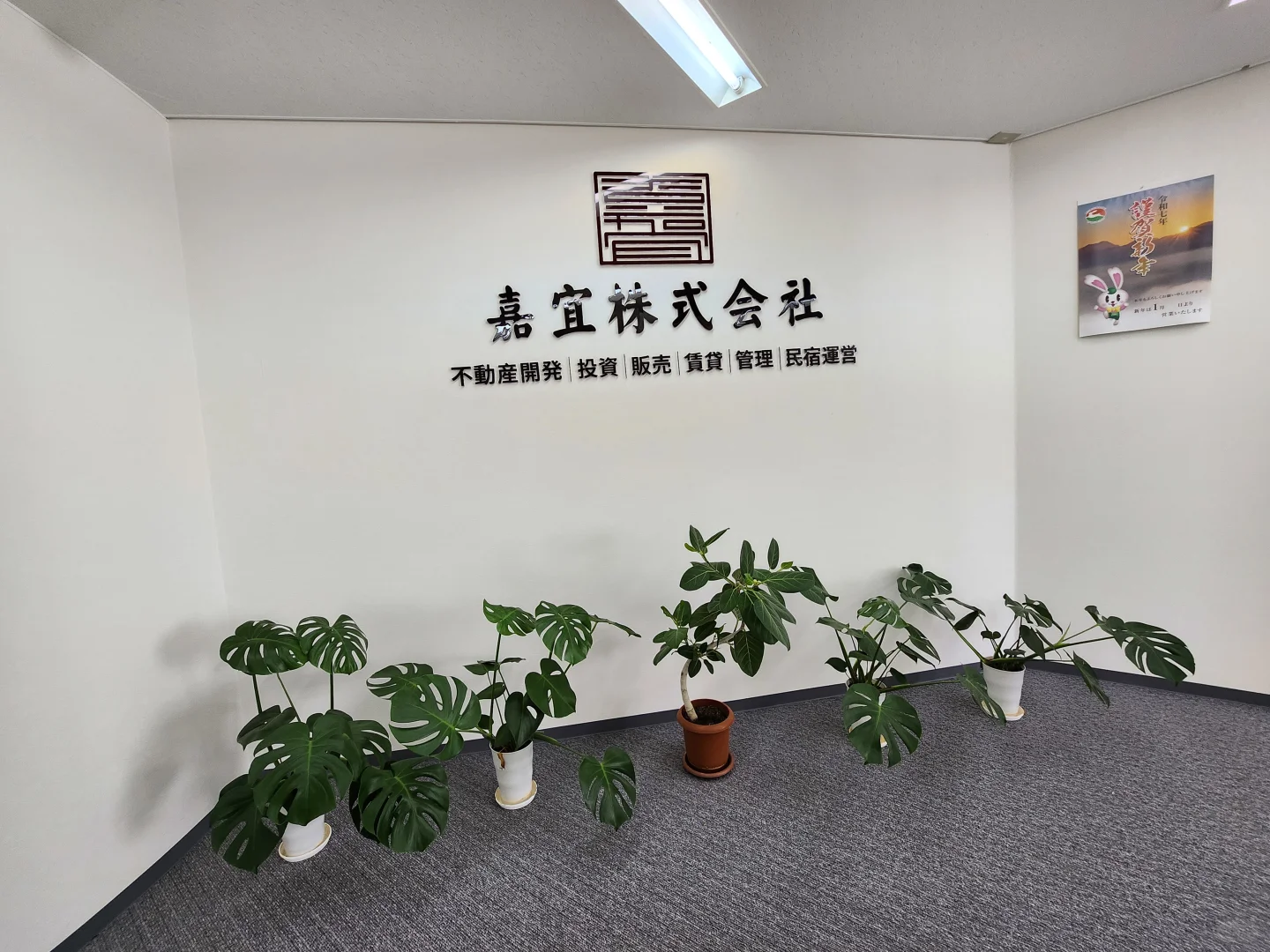 正规不动产会社聘社员🤑🤑🤑