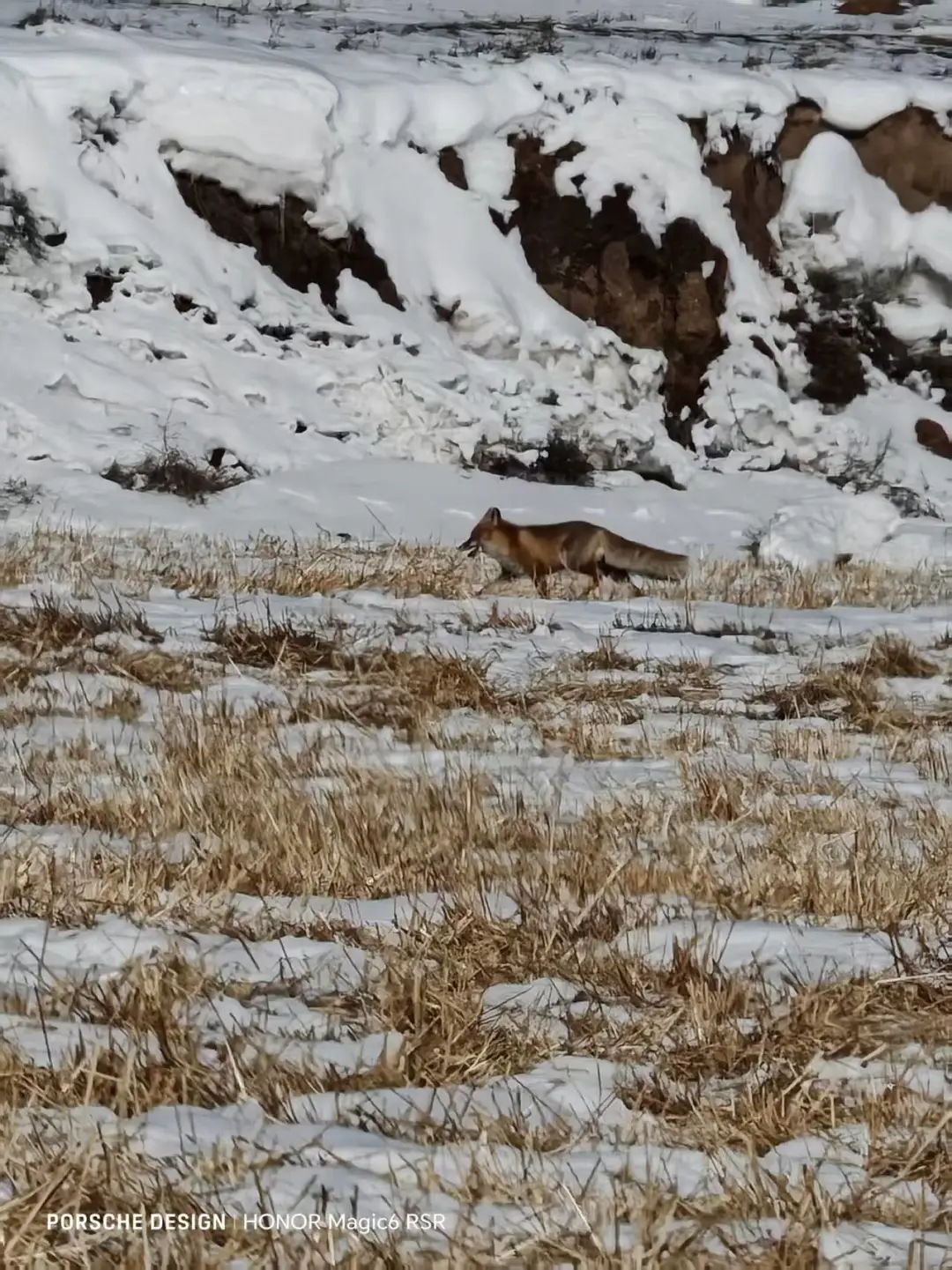 2025年河北省驻村工作队轮换交流