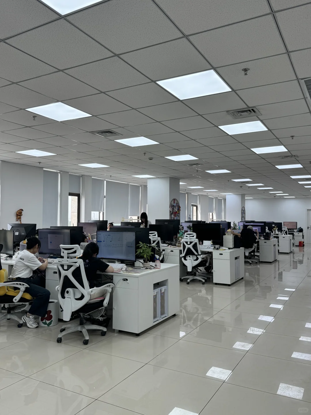 开封五大街招聘月薪4.5k➕