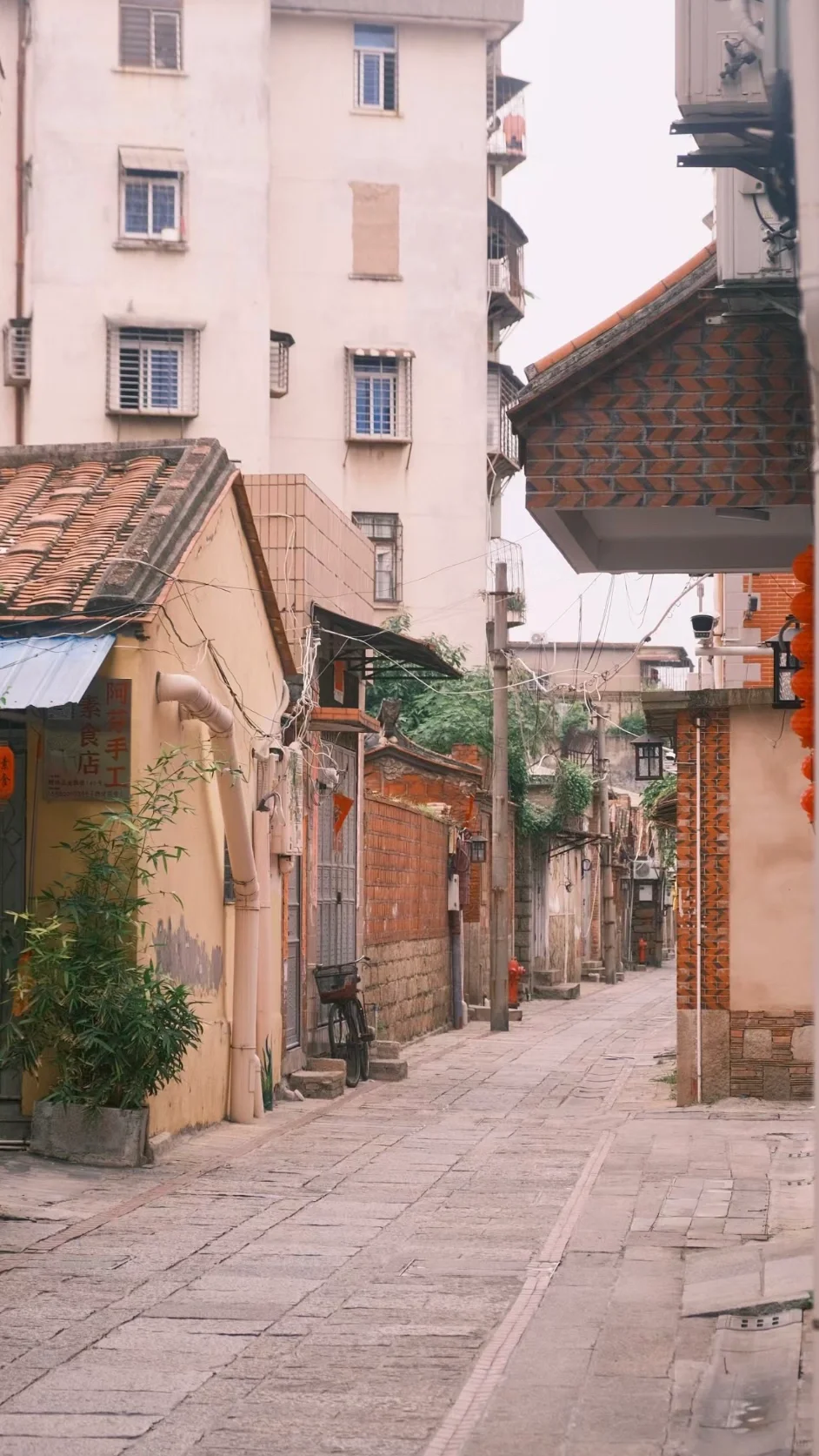 容西 容城的应届毕业生的机会来啦