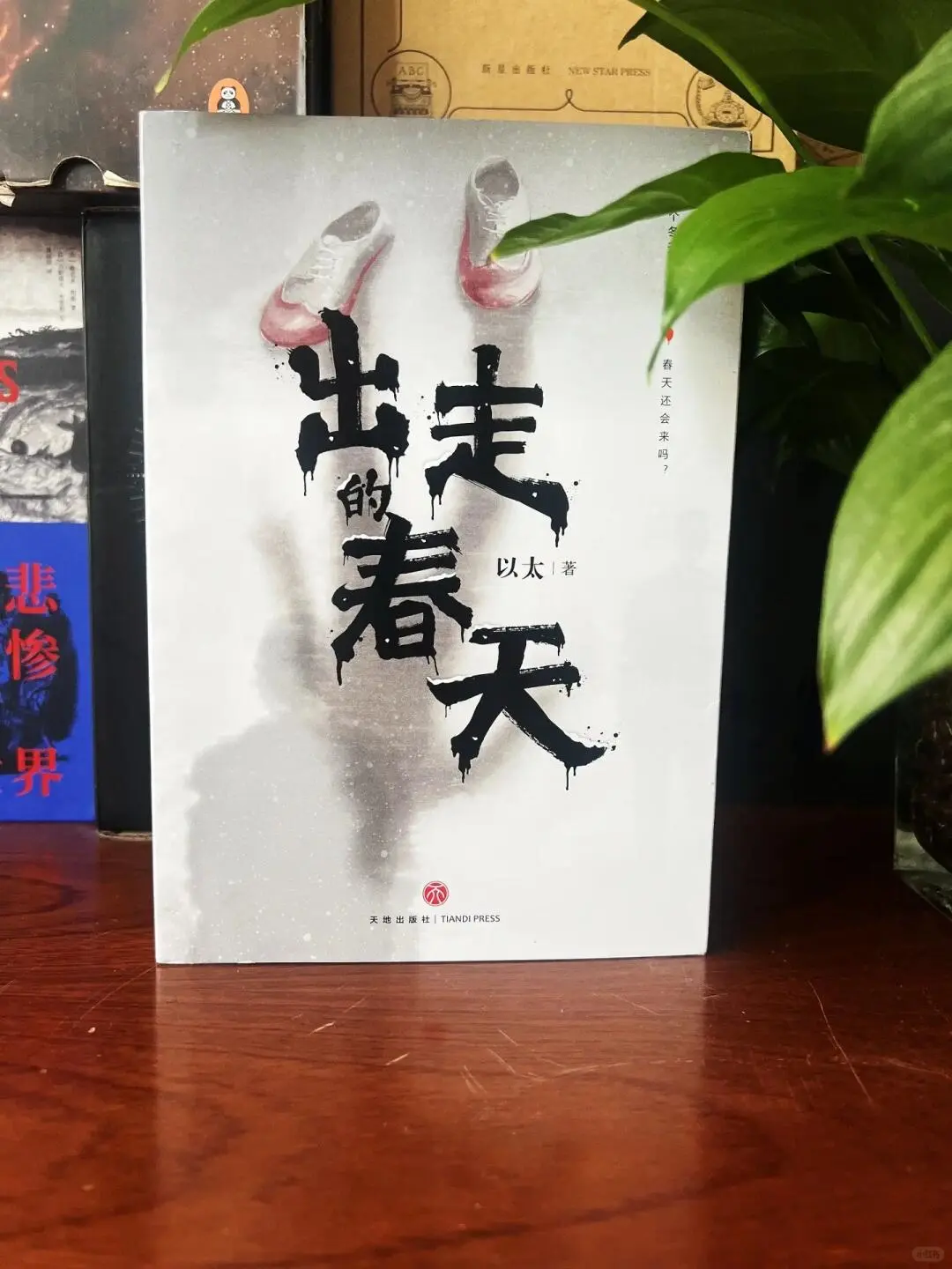 这一本真的超级好看🔥🔥🔥