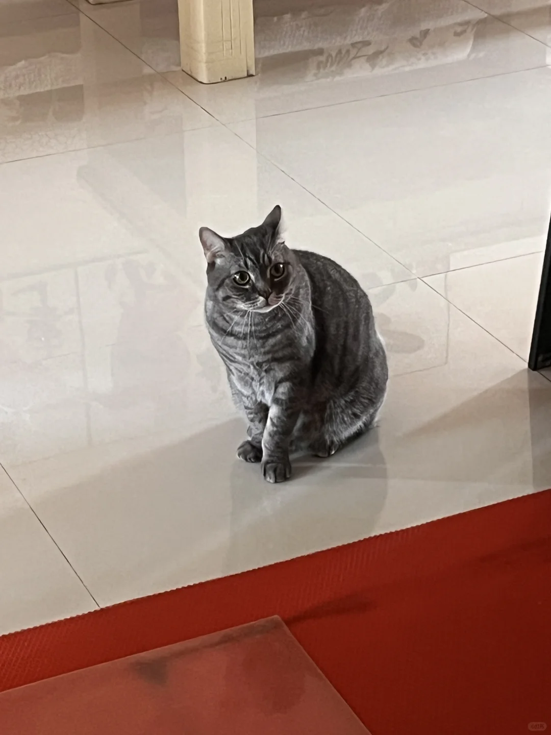 招聘有紧固件采购经验的