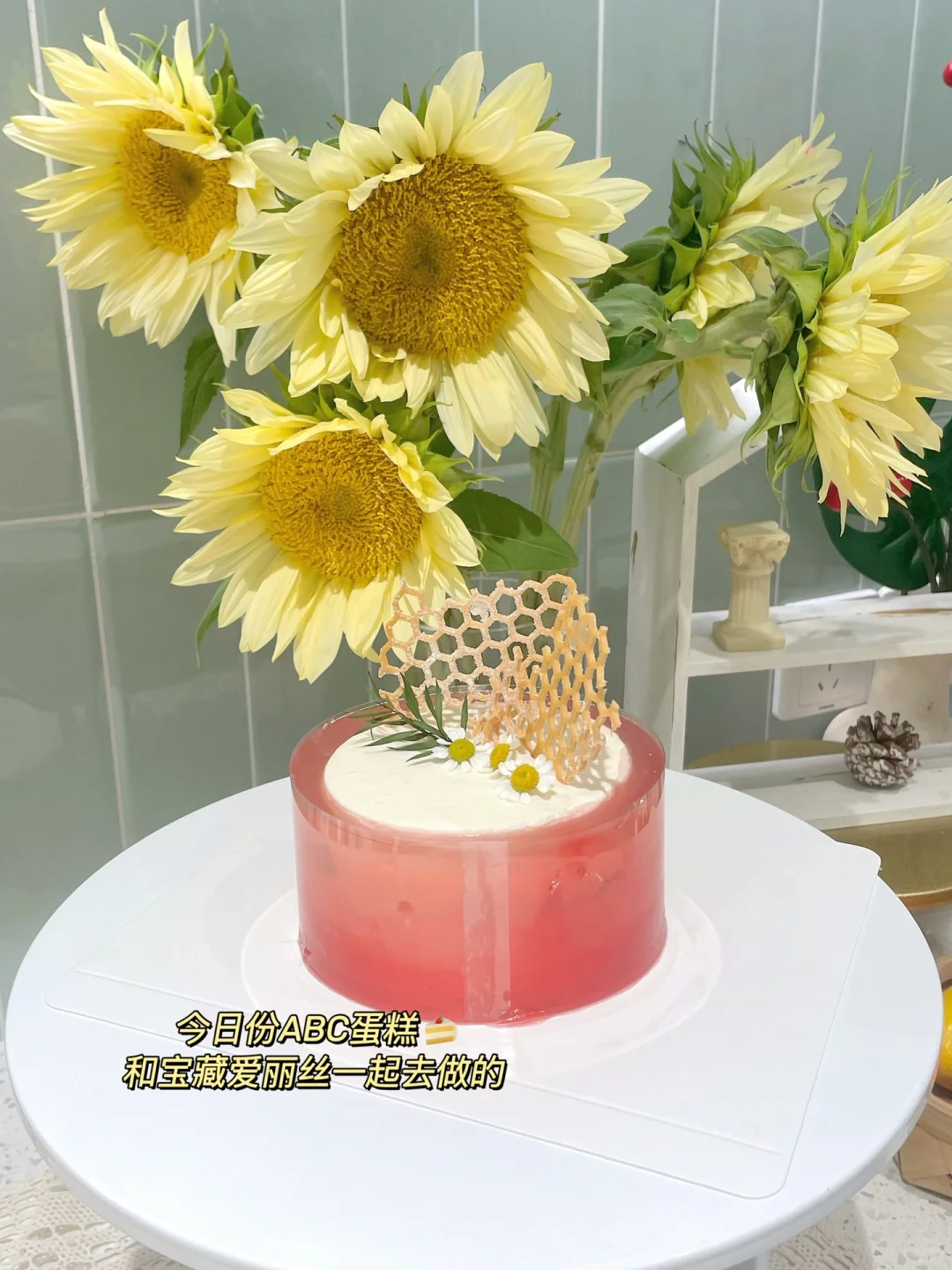 宝藏外企喜欢哪些专业❓神仙外企入职指南‼️