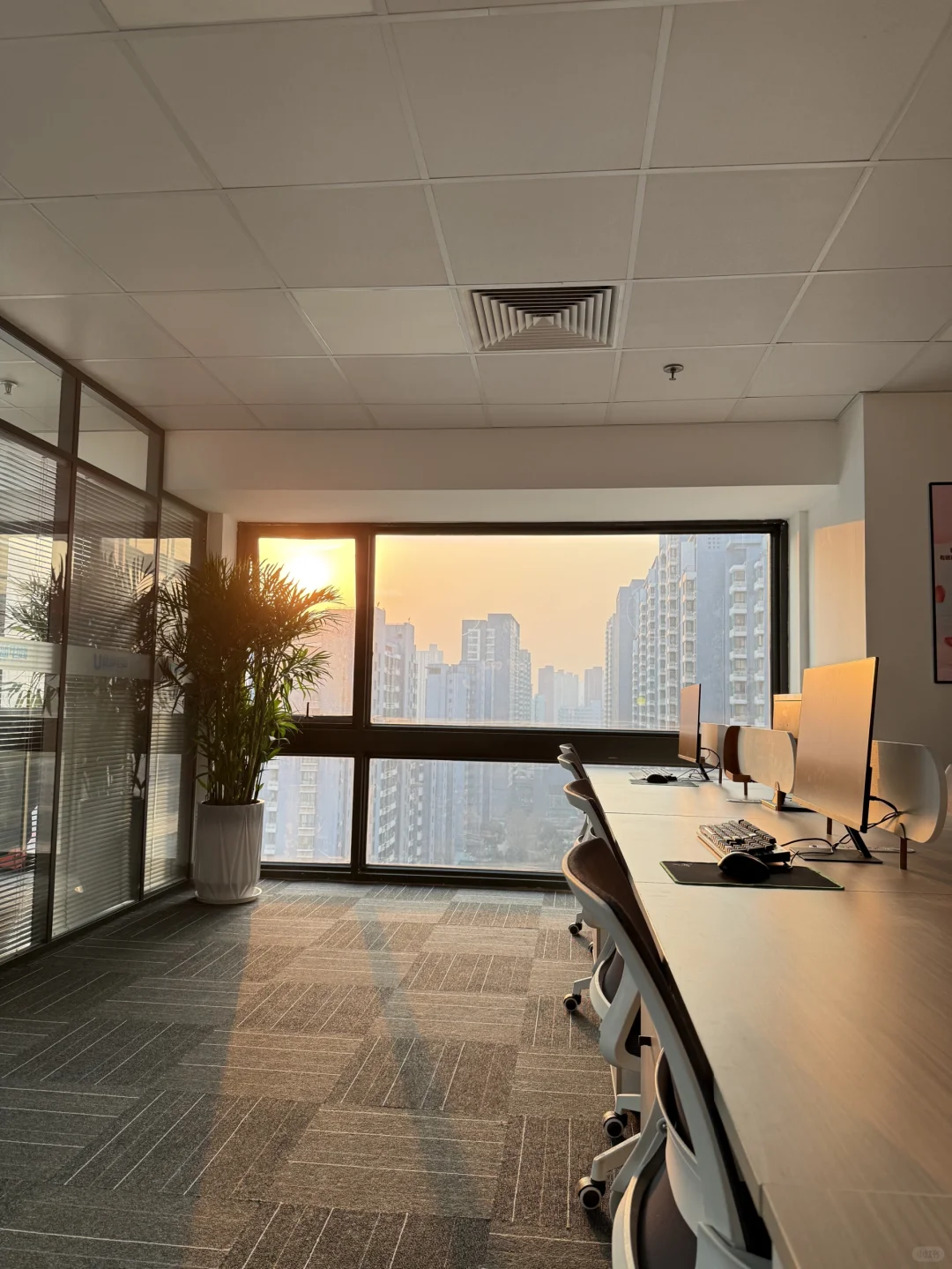 我的神仙公司在石家庄开分公司啦！