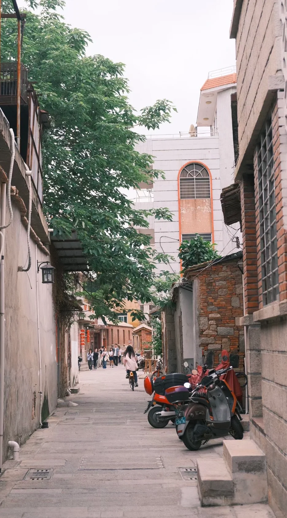 容西 容城的应届毕业生的机会来啦