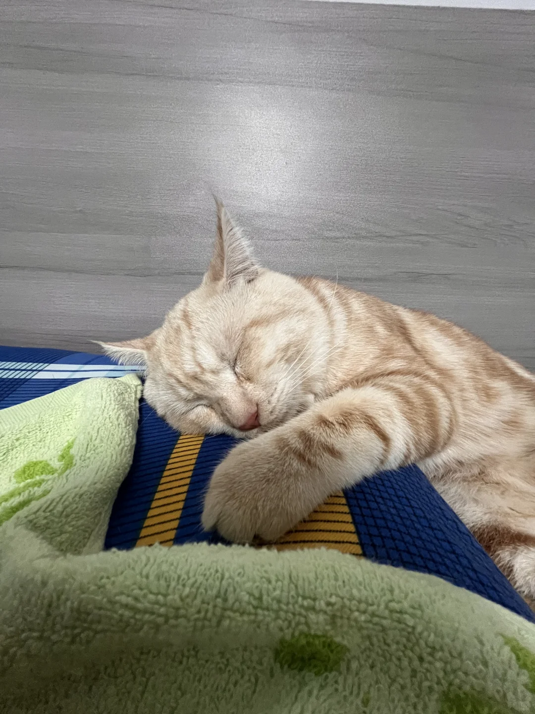 招聘有紧固件采购经验的