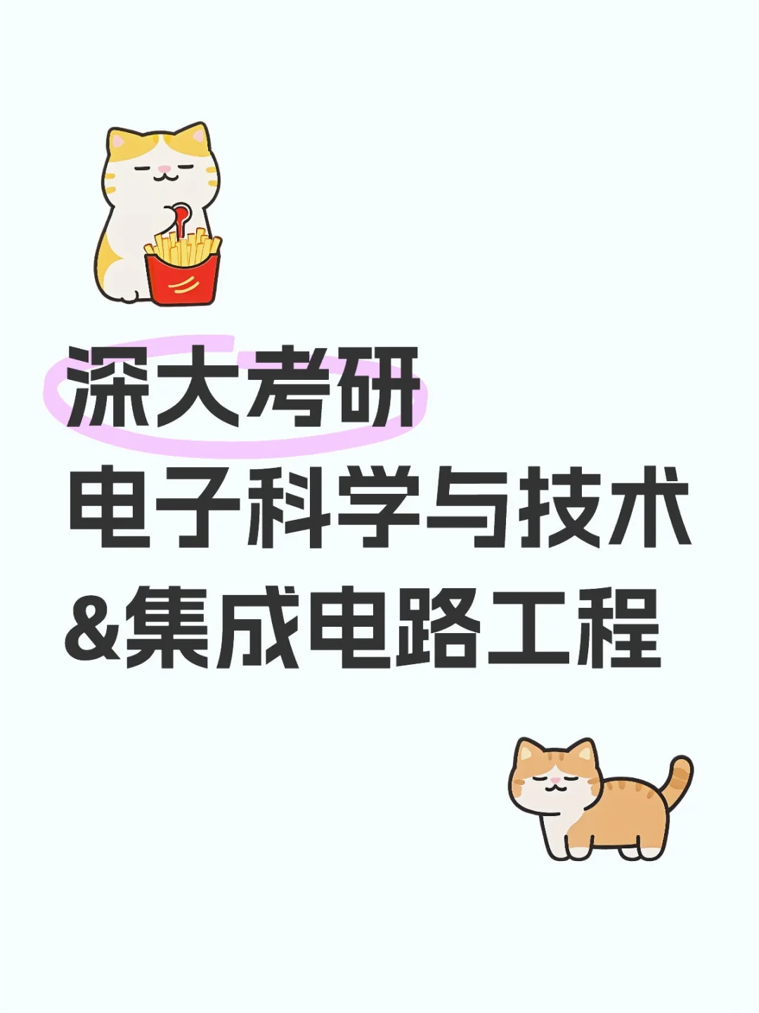 深大集成电路&电子科学与技术 | 考研er必看