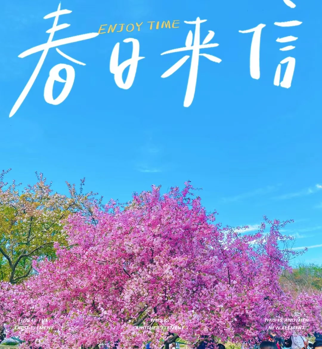 我的神仙公司在石家庄开分公司啦！