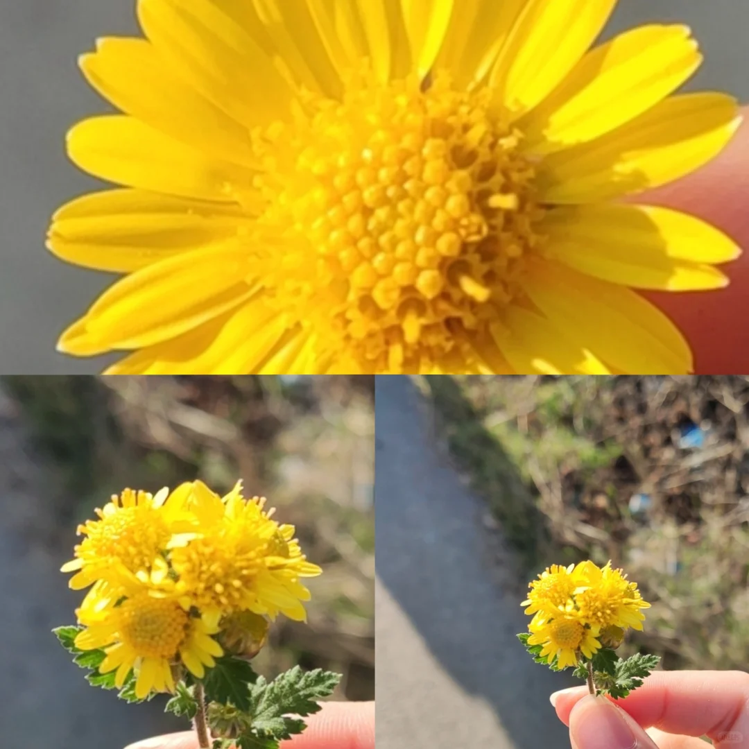 今天开始做招聘