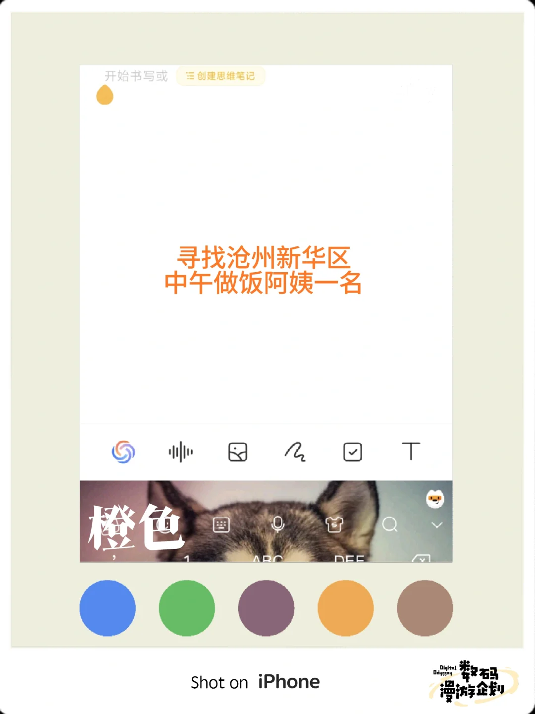 寻找沧州新华区中午做饭阿姨一名