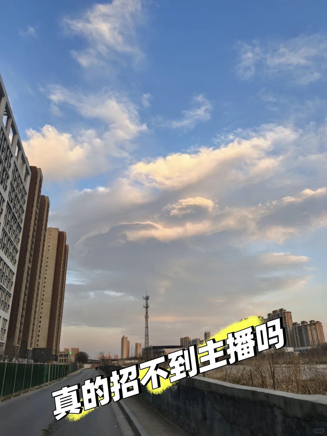 重生之我在国企招主播