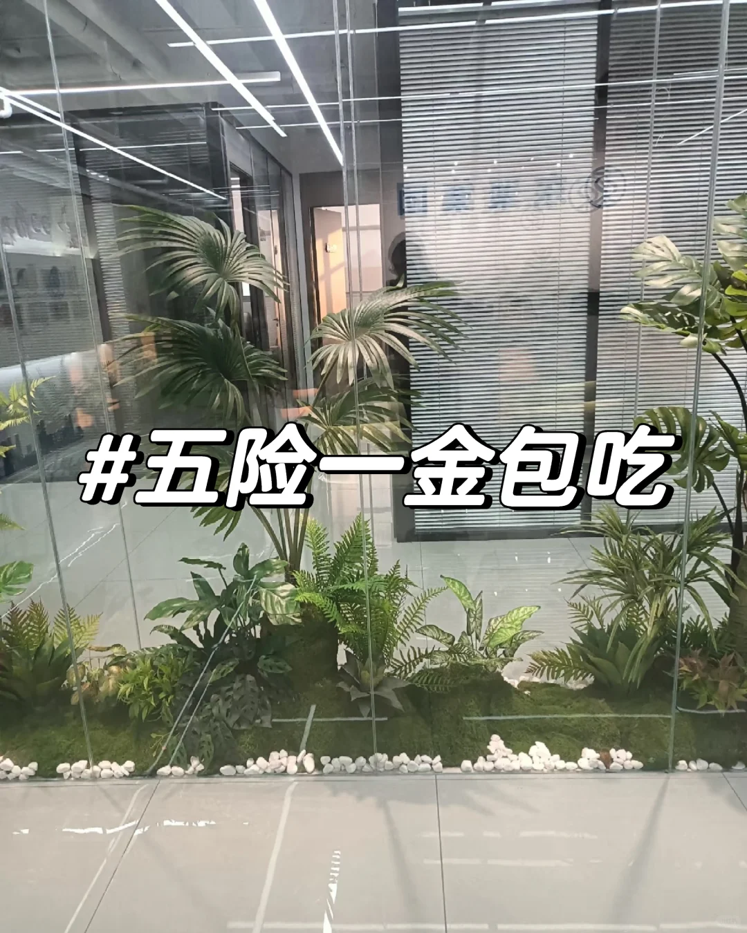 朝九晚五+五险一金人事招聘啦