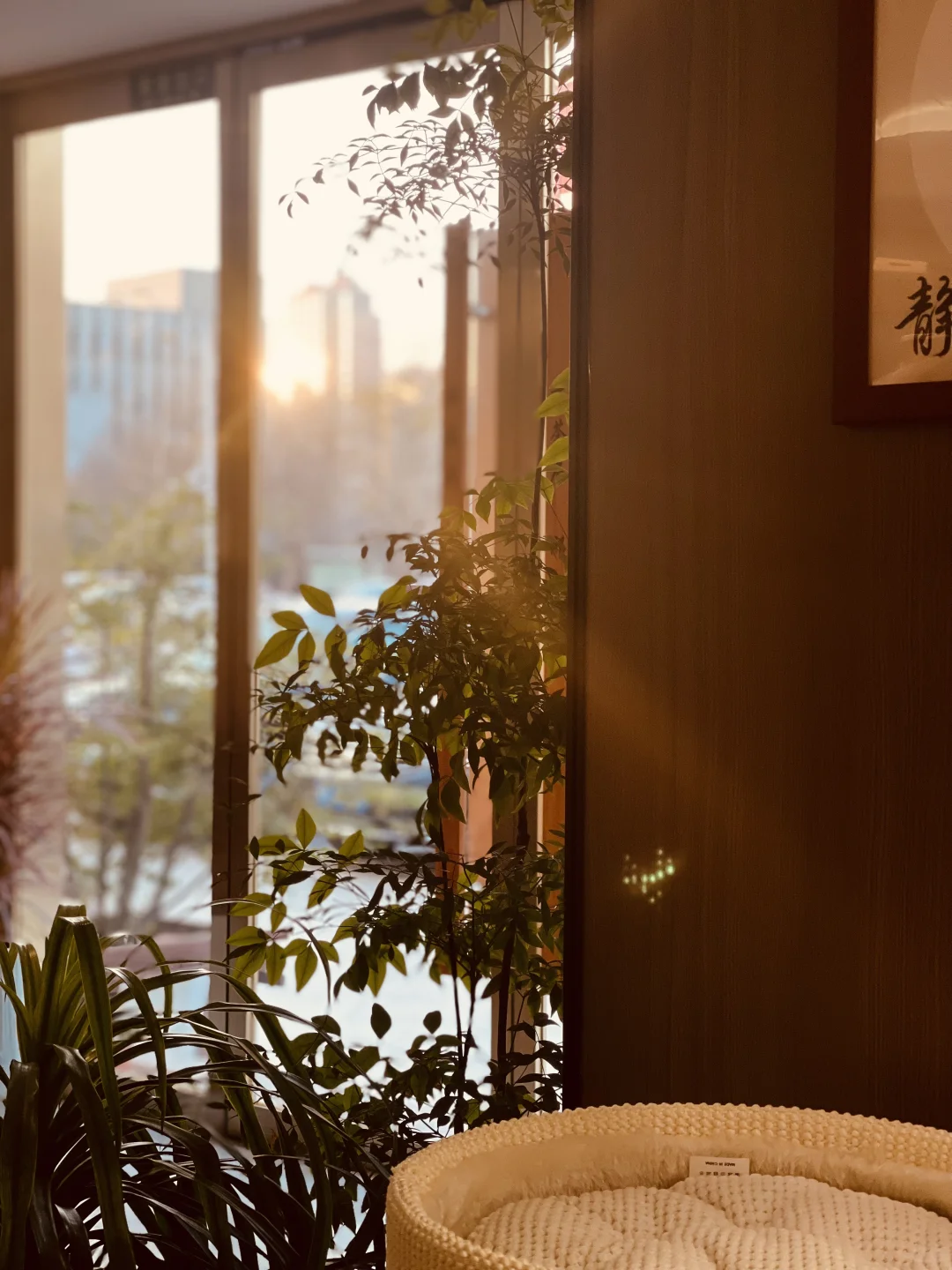 找工作的仙女看这里～