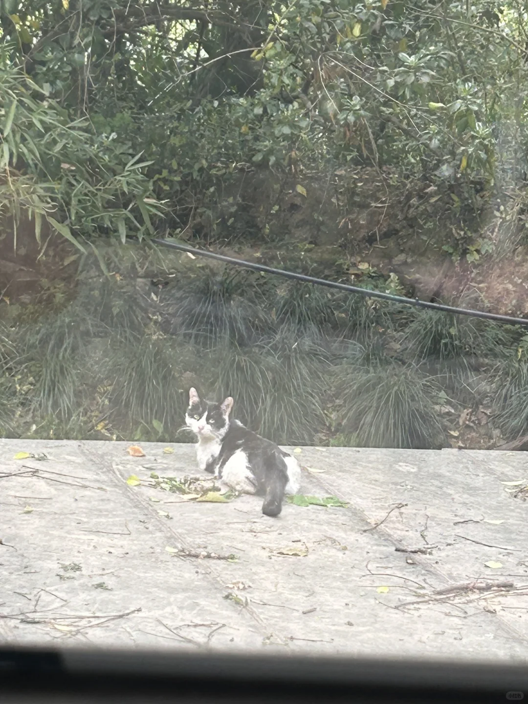 无责8k景区上班好不好