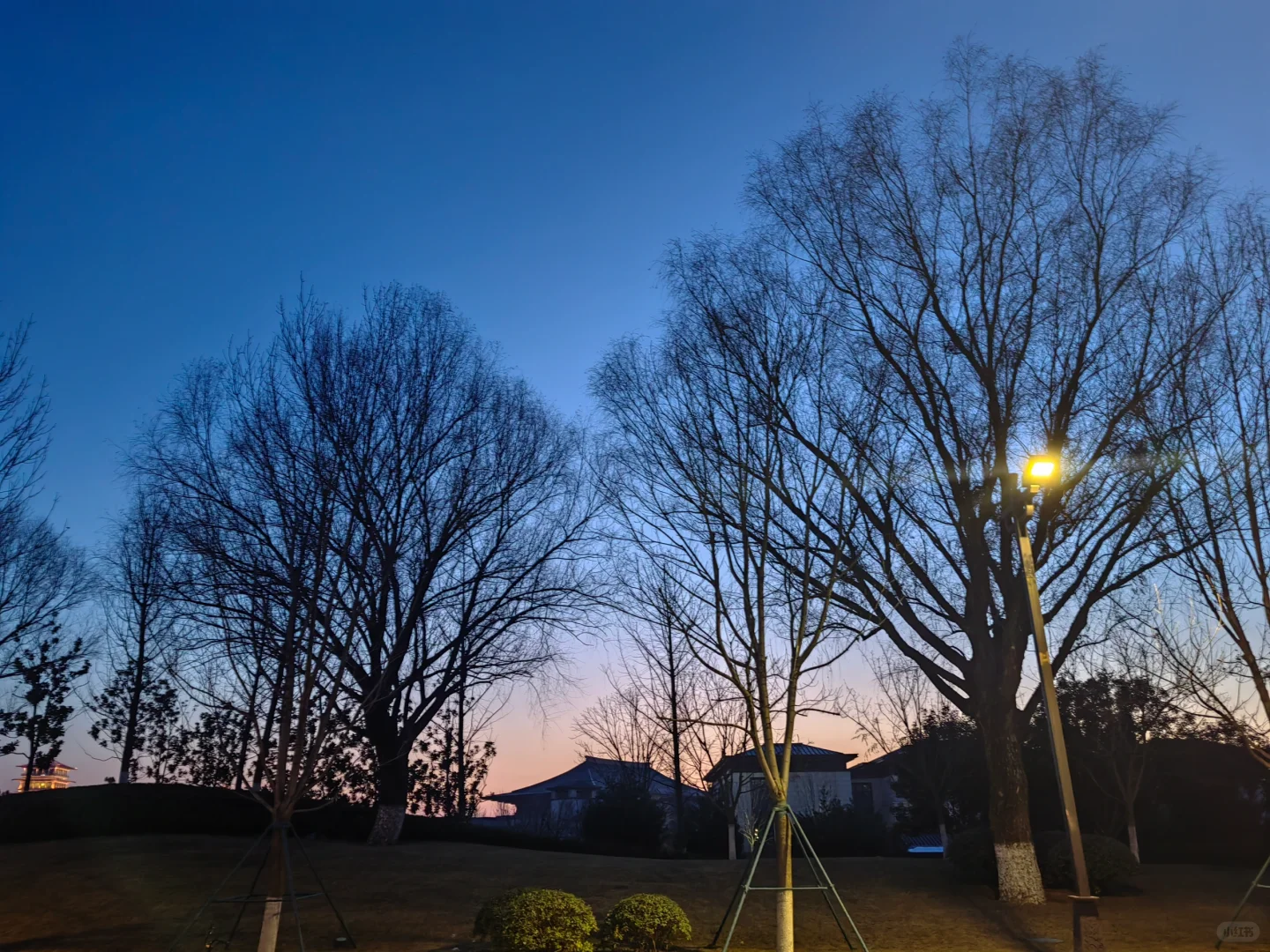 人力资源公司，十家有九家是骗子