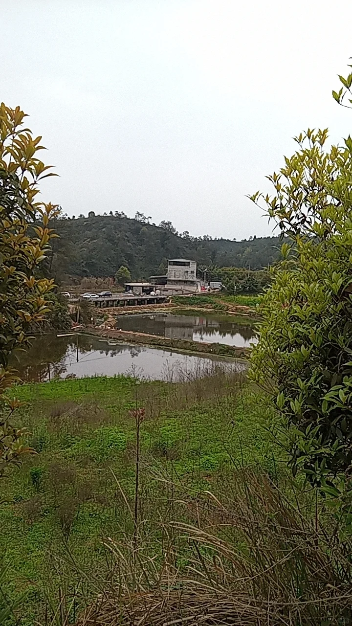 养猪场招聘