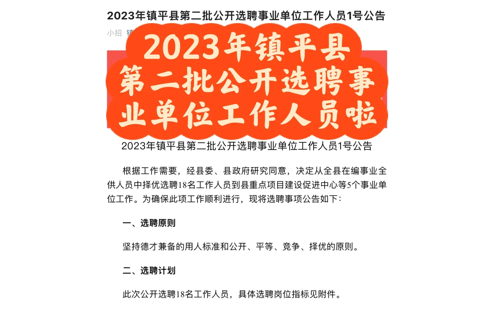 2023年镇平县第二批选聘事业单位工作人员