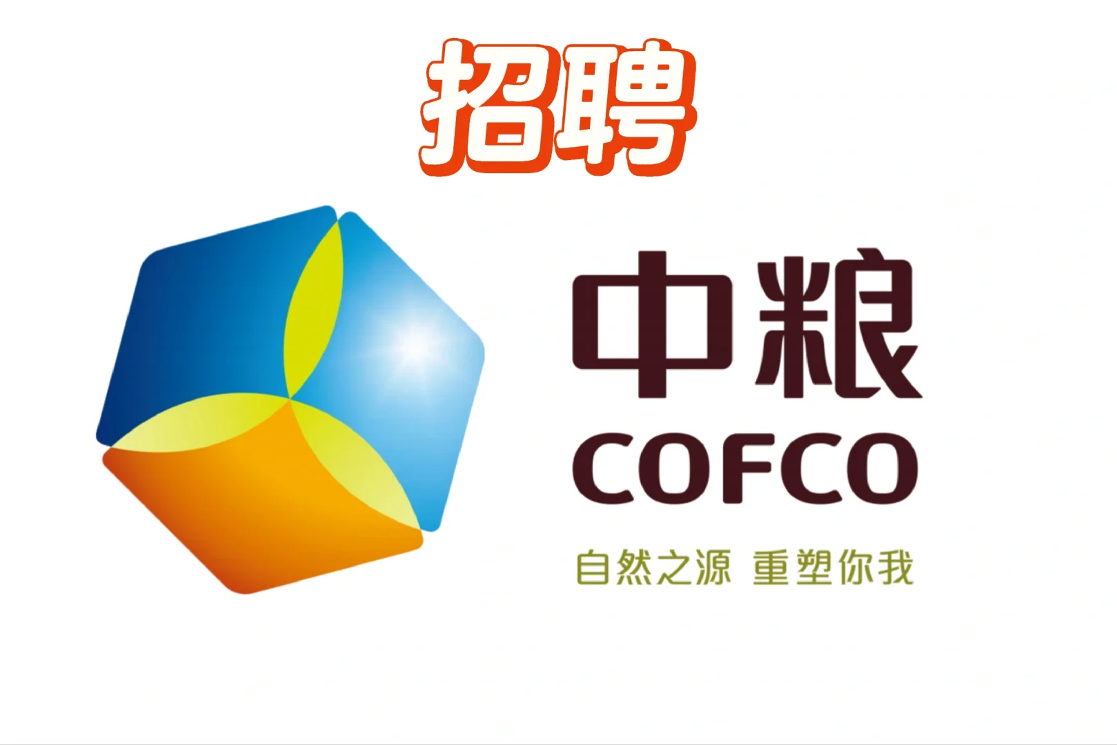 中粮某集团直签🔥🔥🔥