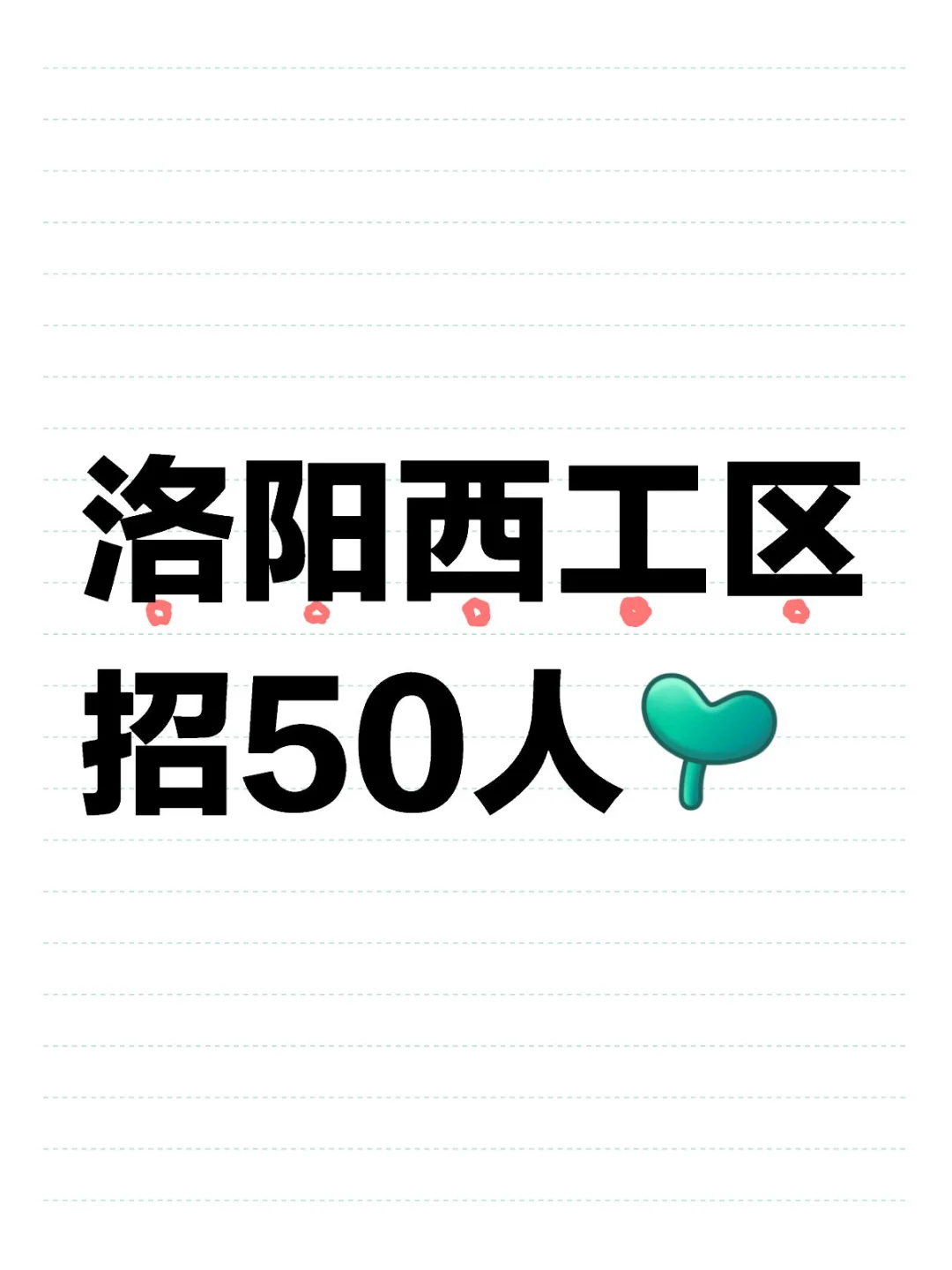 洛阳西工区招50人