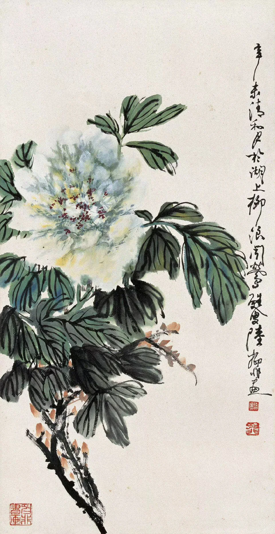 【陆抑非 花鸟动物画牡丹欣赏】