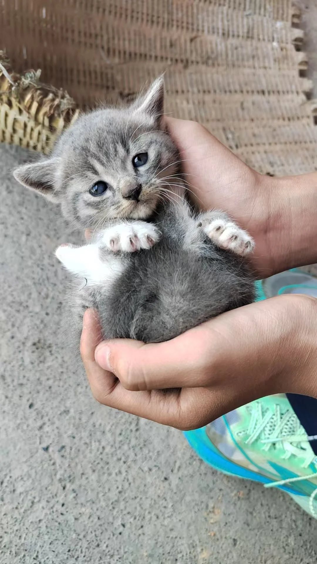 是不是只有我招不到人