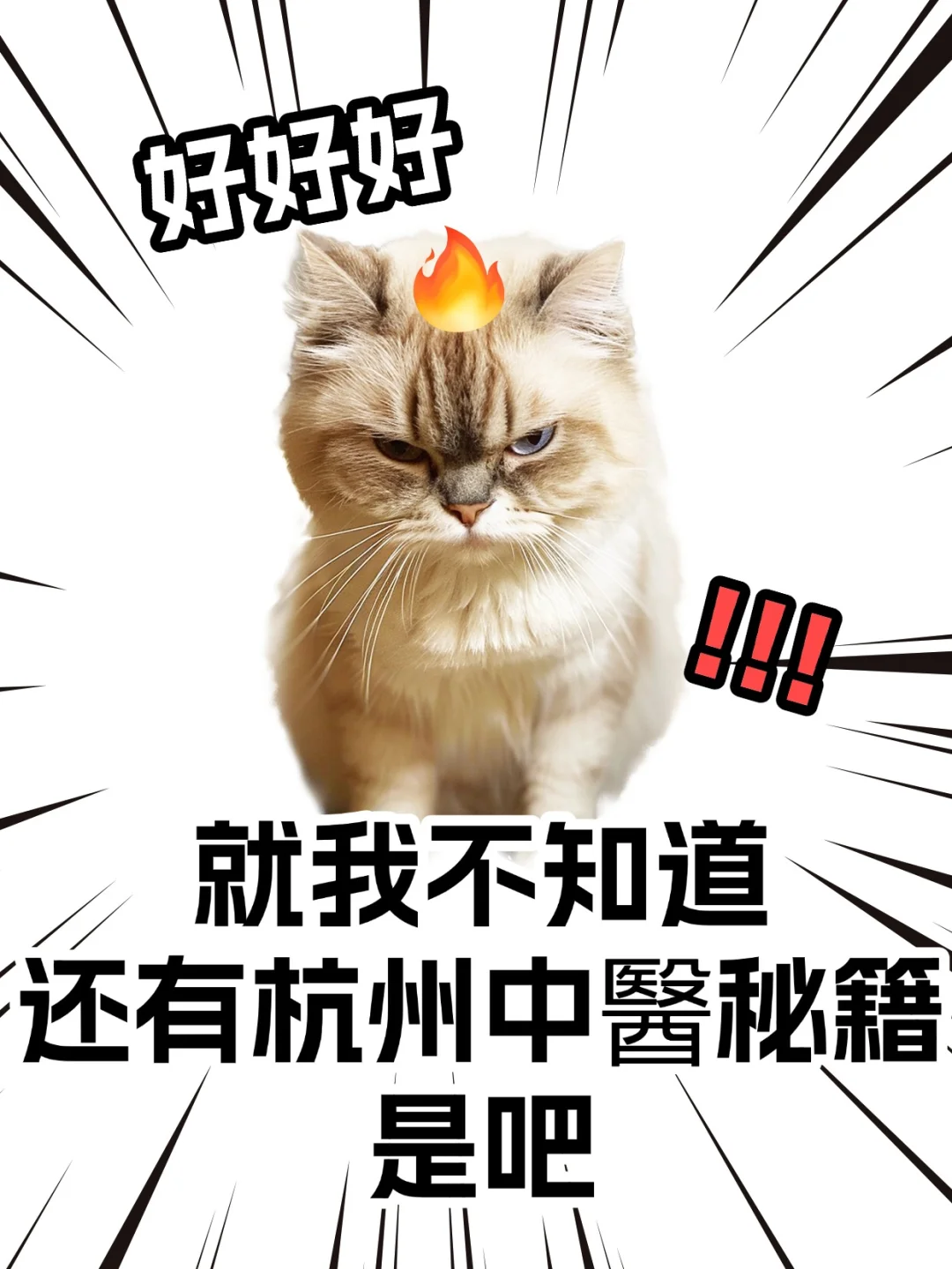 一夕轻雷落万丝，霁光浮瓦碧参差