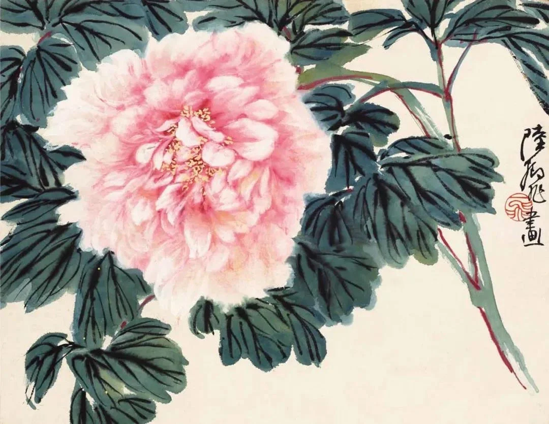 【陆抑非 花鸟动物画牡丹欣赏】