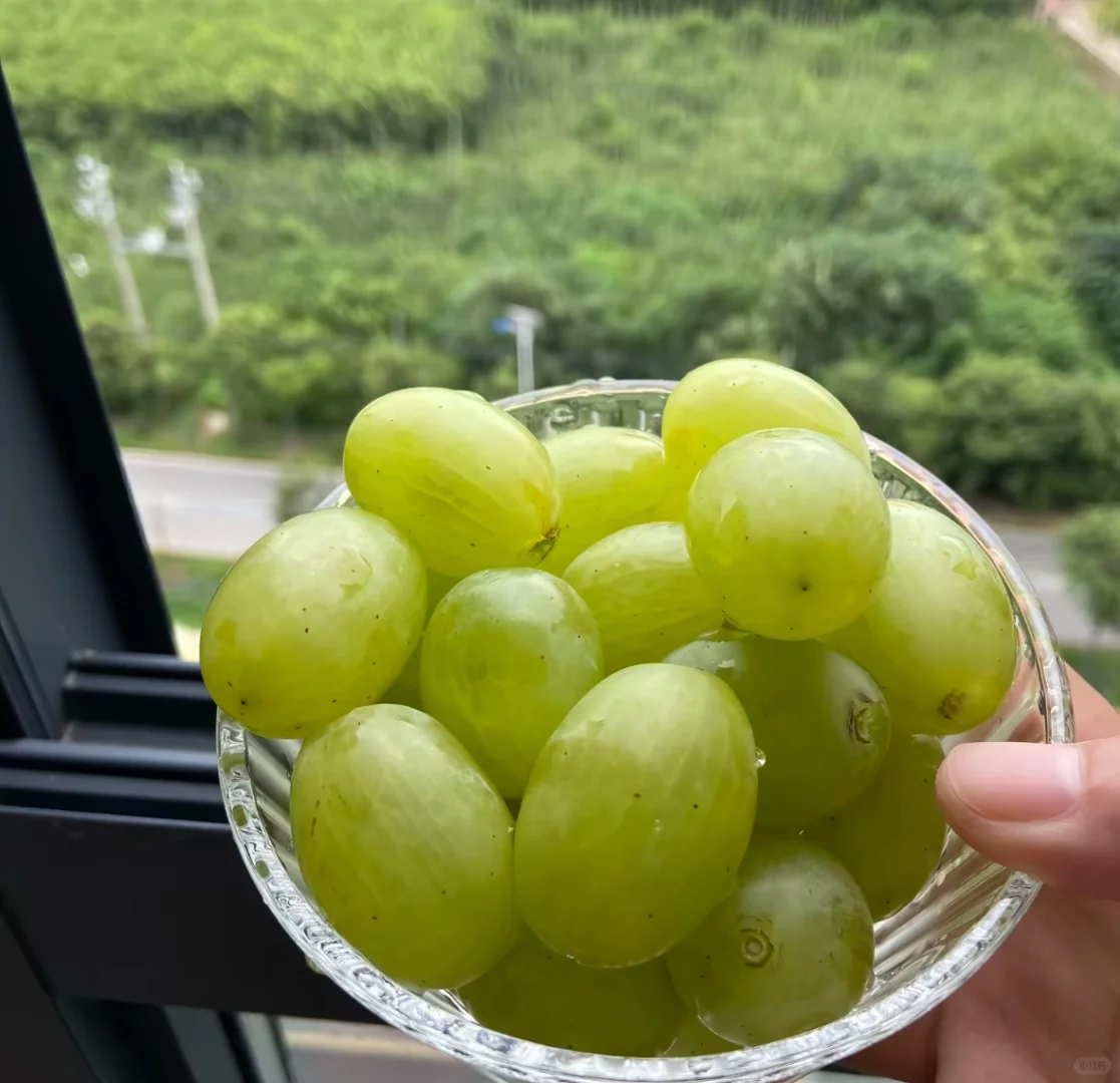 湖南省娄底市娄星广场招人啦！