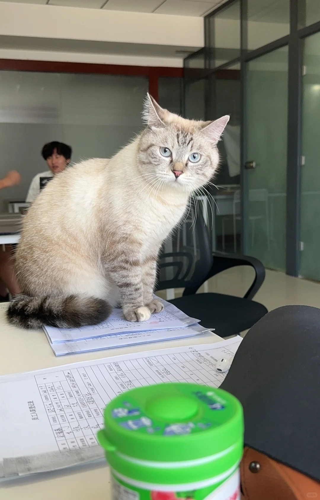 听说小红书招人比boss 好用